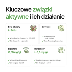 Soplówka Jeżowata (Lion's mane) suszony, mielony grzyb