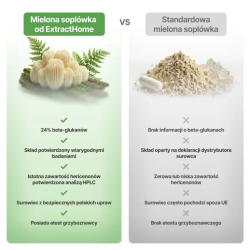 Soplówka Jeżowata (Lion's mane) suszony, mielony grzyb
